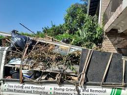 Best Yard Waste Removal  in Norwood, OK